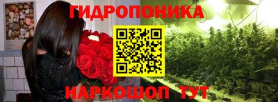 PSILOCYBIN Бугуруслан