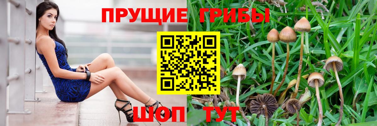 наркота  Вход с VPN  Рузаевка  Галлюциногенные грибы MAGIC MUSHROOMS  Галлюциногенные грибы мицелий 